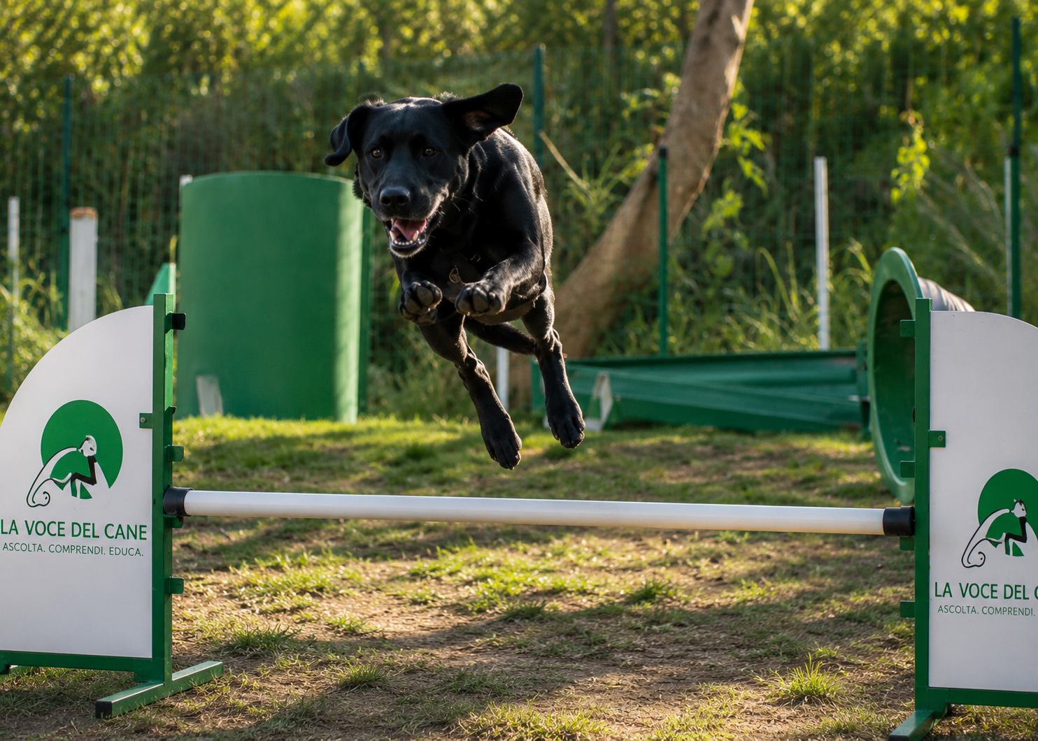 Coadiutore del Cane durante un'attività formativa