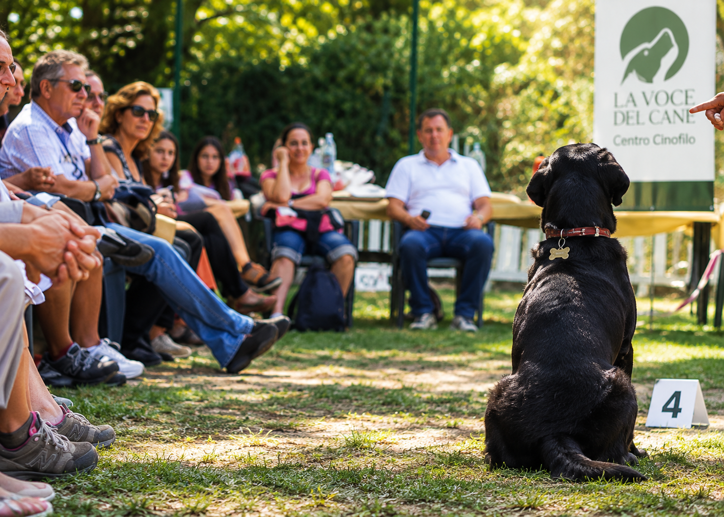 Formazione sul campo per Educatori Cinofili