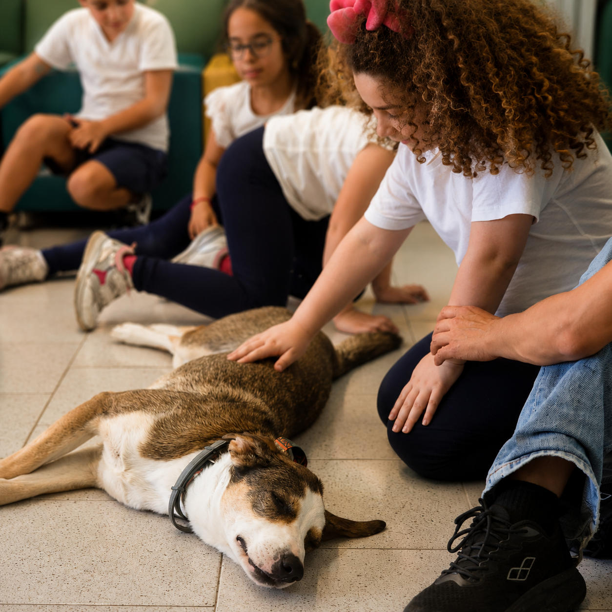 Osservazione della comunicazione del cane presso La Voce del Cane