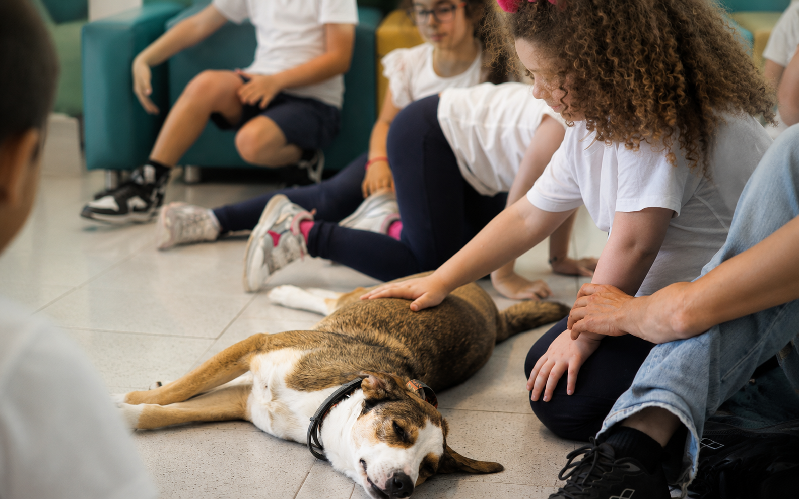 Formazione Esperto nella Comunicazione del Cane