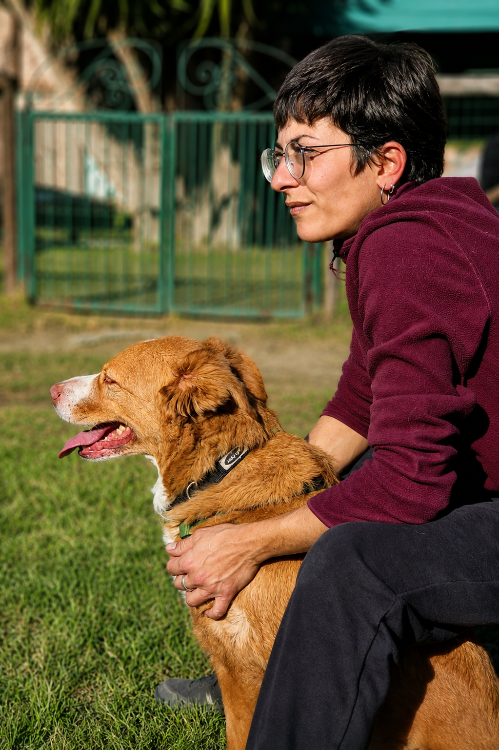 Una persona in relazione con un cane
