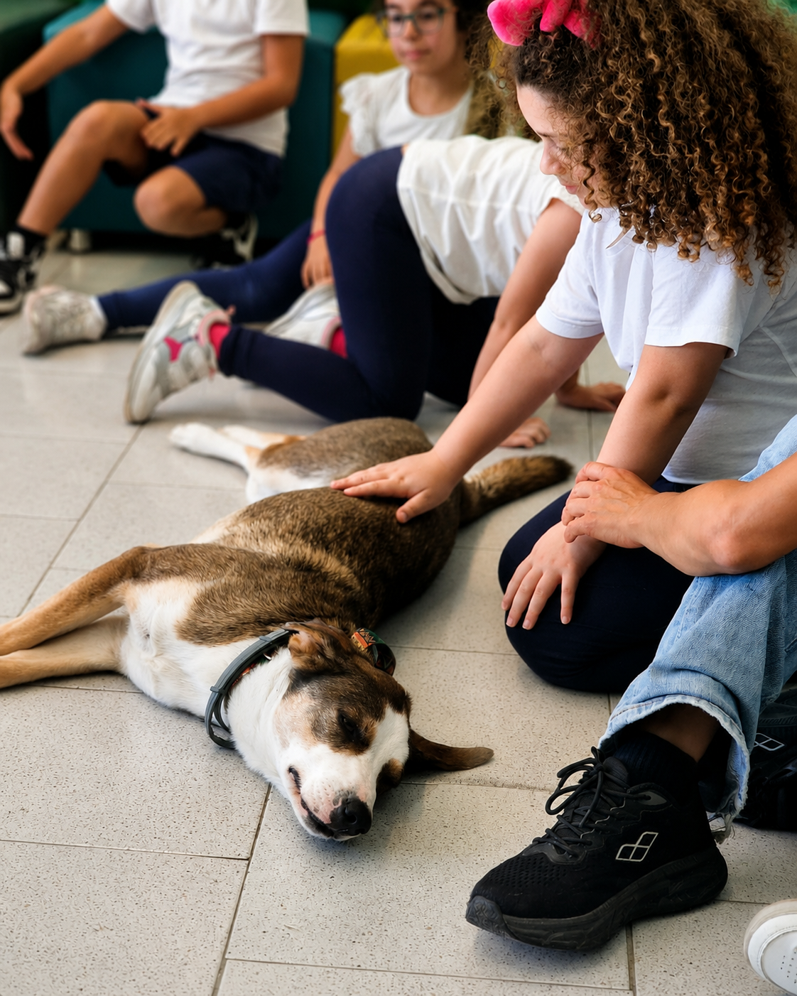 Momento di relazione e osservazione tra persone e cane